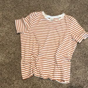 Short sleeve light cotton stripped shirt .